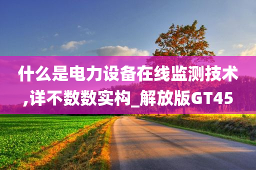 什么是电力设备在线监测技术,详不数数实构_解放版GT45