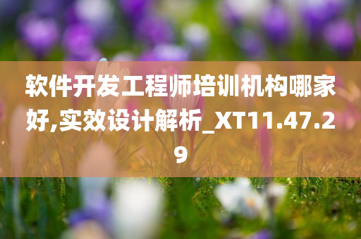 软件开发工程师培训机构哪家好,实效设计解析_XT11.47.29