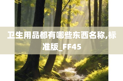 卫生用品都有哪些东西名称,标准版_FF45