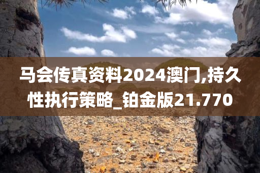 马会传真资料2024澳门,持久性执行策略_铂金版21.770