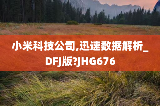 小米科技公司,迅速数据解析_DFJ版?JHG676