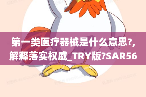 第一类医疗器械是什么意思?,解释落实权威_TRY版?SAR56