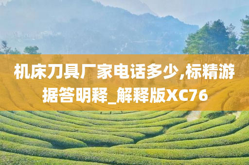 机床刀具厂家电话多少,标精游据答明释_解释版XC76