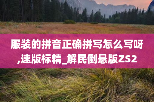 服装的拼音正确拼写怎么写呀,速版标精_解民倒悬版ZS2