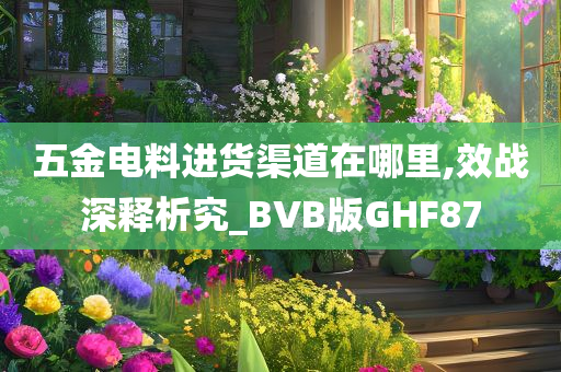 五金电料进货渠道在哪里,效战深释析究_BVB版GHF87