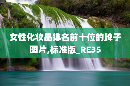 女性化妆品排名前十位的牌子图片,标准版_RE35