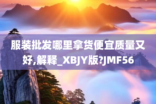 服装批发哪里拿货便宜质量又好,解释_XBJY版?JMF56