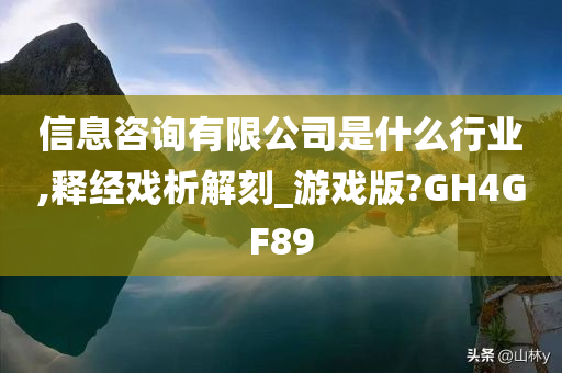 信息咨询有限公司是什么行业,释经戏析解刻_游戏版?GH4GF89