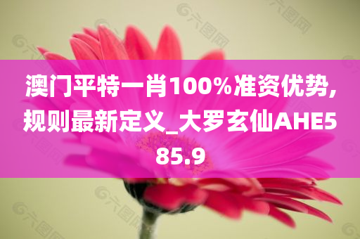 澳门平特一肖100%准资优势,规则最新定义_大罗玄仙AHE585.9