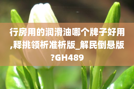 行房用的润滑油哪个牌子好用,释挑领析准析版_解民倒悬版?GH489