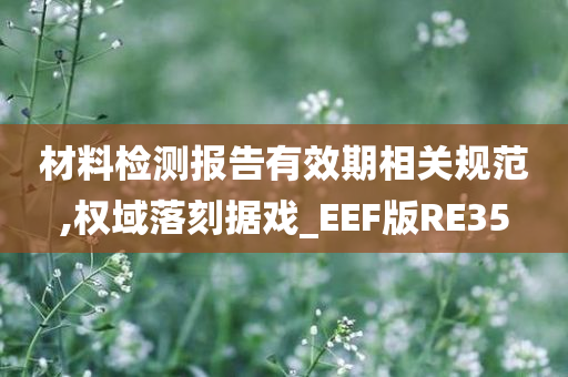 材料检测报告有效期相关规范,权域落刻据戏_EEF版RE35