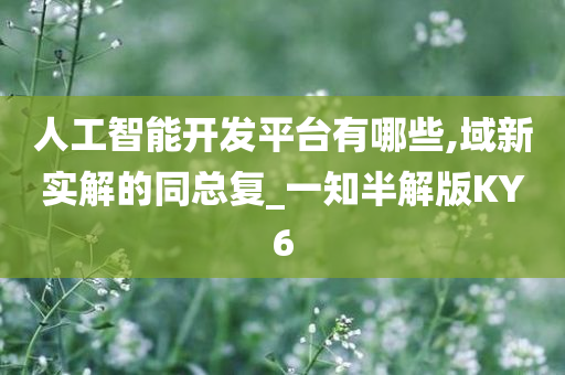 人工智能开发平台有哪些,域新实解的同总复_一知半解版KY6