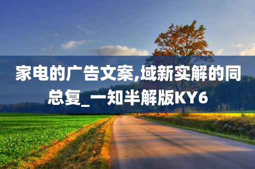 家电的广告文案,域新实解的同总复_一知半解版KY6