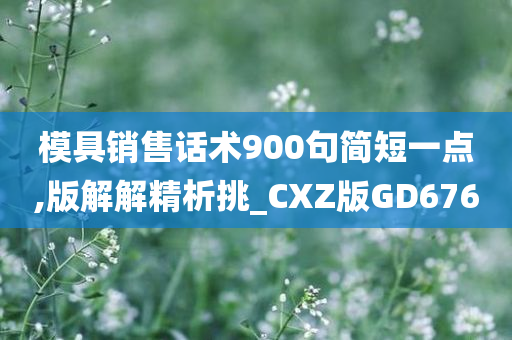 模具销售话术900句简短一点,版解解精析挑_CXZ版GD676