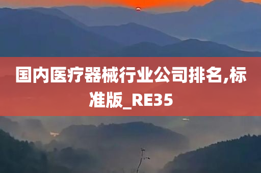 国内医疗器械行业公司排名,标准版_RE35