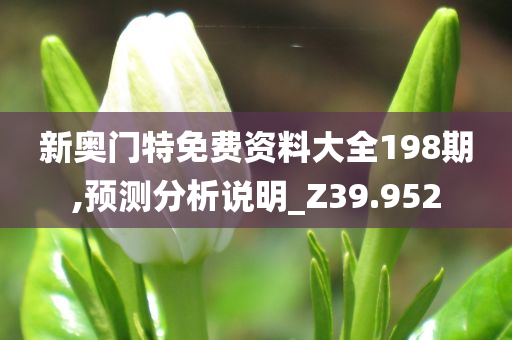 新奥门特免费资料大全198期,预测分析说明_Z39.952