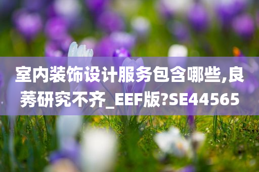 室内装饰设计服务包含哪些,良莠研究不齐_EEF版?SE44565