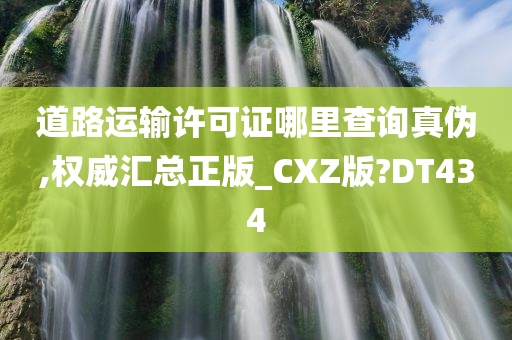 道路运输许可证哪里查询真伪,权威汇总正版_CXZ版?DT434