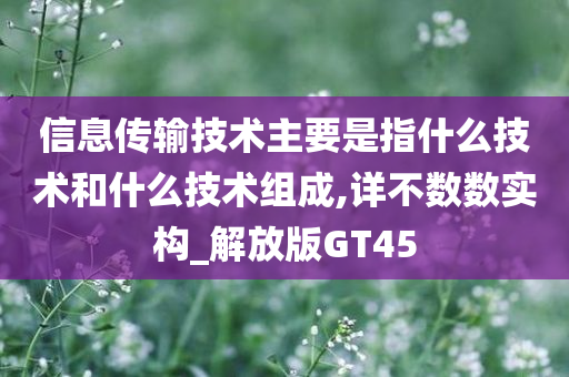 信息传输技术主要是指什么技术和什么技术组成,详不数数实构_解放版GT45