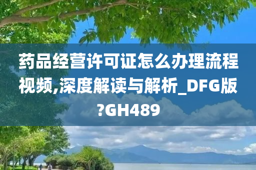 药品经营许可证怎么办理流程视频,深度解读与解析_DFG版?GH489