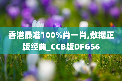 香港最准100%肖一肖,数据正版经典_CCB版DFG56