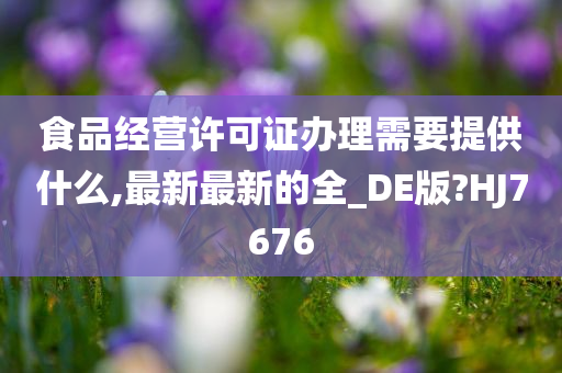 食品经营许可证办理需要提供什么,最新最新的全_DE版?HJ7676