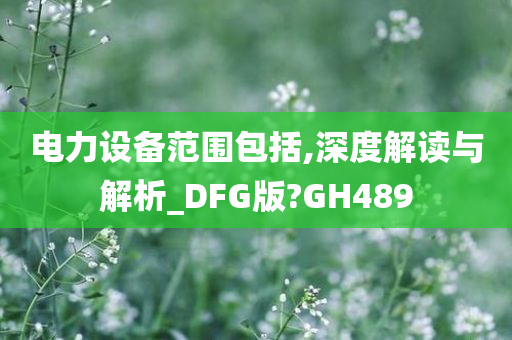 电力设备范围包括,深度解读与解析_DFG版?GH489