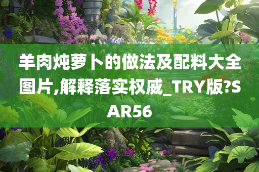 羊肉炖萝卜的做法及配料大全图片,解释落实权威_TRY版?SAR56