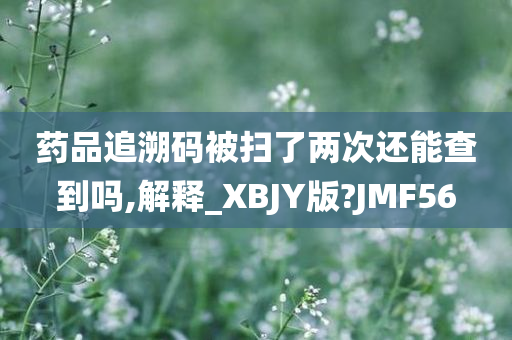 药品追溯码被扫了两次还能查到吗,解释_XBJY版?JMF56