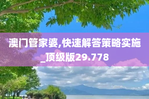 澳门管家婆,快速解答策略实施_顶级版29.778