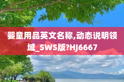 婴童用品英文名称,动态说明领域_SWS版?HJ6667