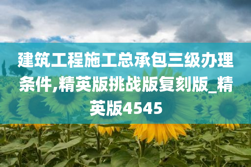 建筑工程施工总承包三级办理条件,精英版挑战版复刻版_精英版4545