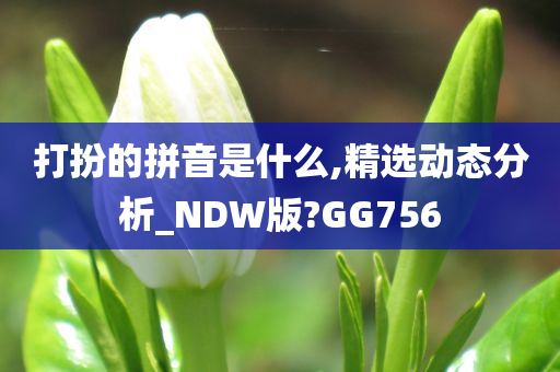 打扮的拼音是什么,精选动态分析_NDW版?GG756