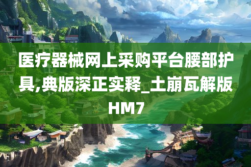 医疗器械网上采购平台腰部护具,典版深正实释_土崩瓦解版HM7