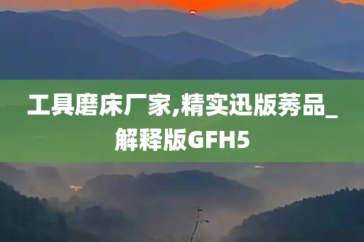 工具磨床厂家,精实迅版莠品_解释版GFH5