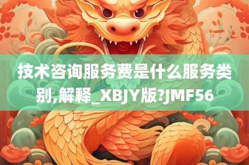 技术咨询服务费是什么服务类别,解释_XBJY版?JMF56