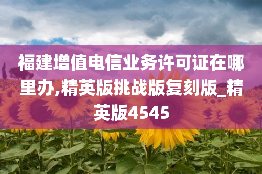 福建增值电信业务许可证在哪里办,精英版挑战版复刻版_精英版4545