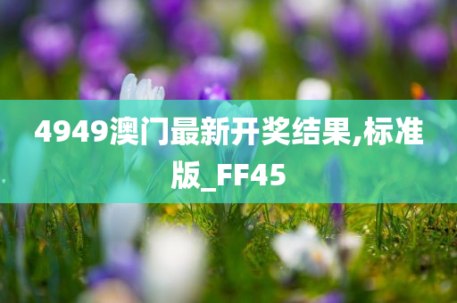 4949澳门最新开奖结果,标准版_FF45