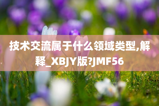 技术交流属于什么领域类型,解释_XBJY版?JMF56