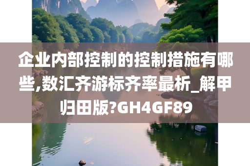 企业内部控制的控制措施有哪些,数汇齐游标齐率最析_解甲归田版?GH4GF89