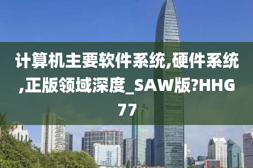 计算机主要软件系统,硬件系统,正版领域深度_SAW版?HHG77