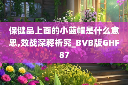 保健品上面的小蓝帽是什么意思,效战深释析究_BVB版GHF87