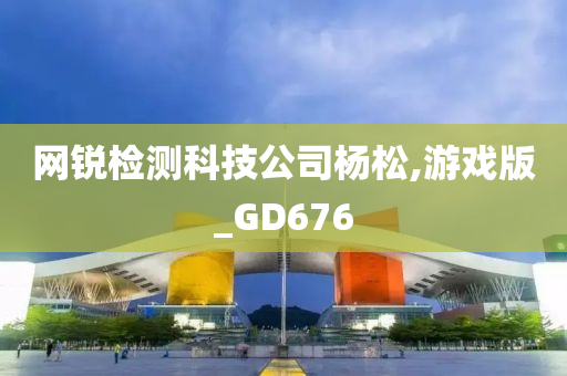 网锐检测科技公司杨松,游戏版_GD676