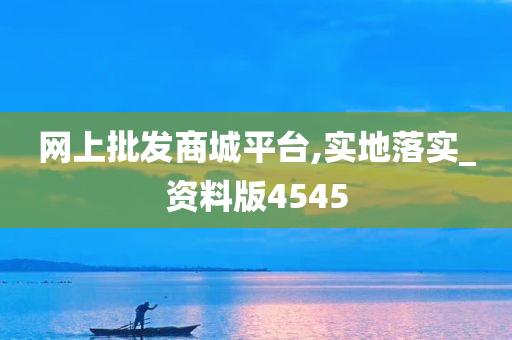 网上批发商城平台,实地落实_资料版4545