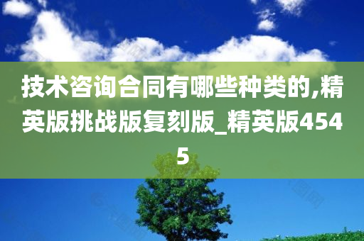 技术咨询合同有哪些种类的,精英版挑战版复刻版_精英版4545