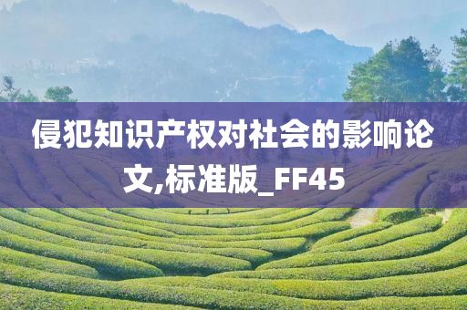 侵犯知识产权对社会的影响论文,标准版_FF45