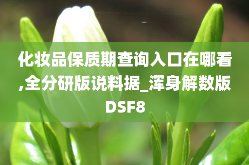 化妆品保质期查询入口在哪看,全分研版说料据_浑身解数版DSF8