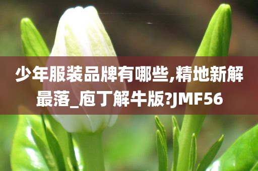 少年服装品牌有哪些,精地新解最落_庖丁解牛版?JMF56