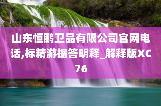 山东恒鹏卫品有限公司官网电话,标精游据答明释_解释版XC76