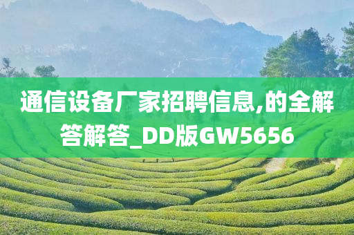 通信设备厂家招聘信息,的全解答解答_DD版GW5656